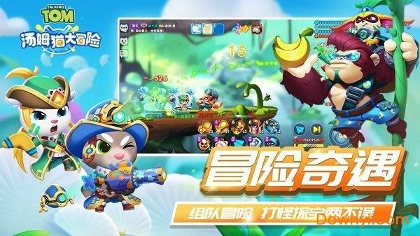 梦想的后院