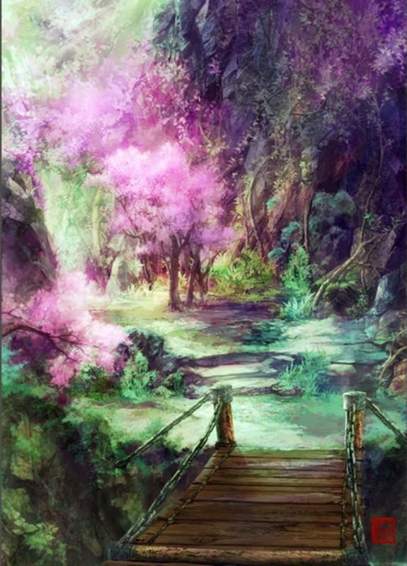 寻找奈良树花